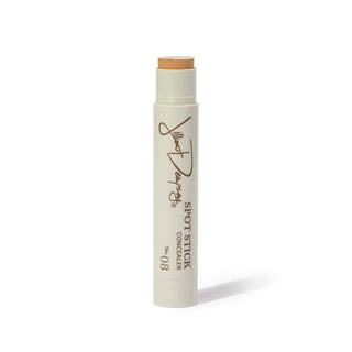 Spot Stick Concealer: No. 04: The Neutralizer!