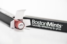 Boston Mints Lip Gloss Plum Island Sand