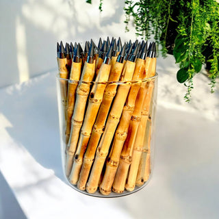 Never Ending Bamboo Pencil | Summer Bestseller: Original Modern