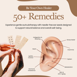 24K Gold Ear Seed Acupuncture Kit – 50+ Healing Remedies