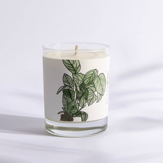 Summer Mint - Just Bee Candles: Large Glass (up to 70 hrs of clean burning)