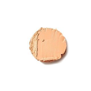 Spot Stick Concealer: No. 04: The Neutralizer!