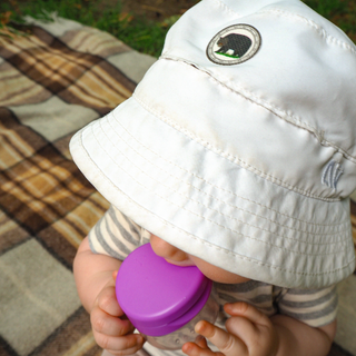 Nantucket Spider Mosquito Repellent Stickers