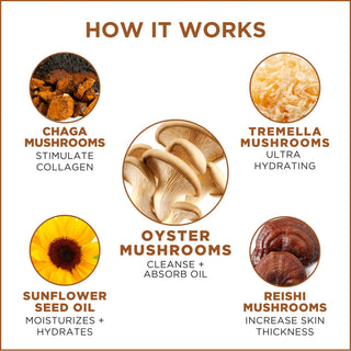 Good Clean Fungi Gentle Scrubbing Cleansing Balm - Jar + Pod