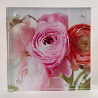 Floral Photos in Acrylic Frame