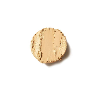 Spot Stick Concealer: No. 04: The Neutralizer!