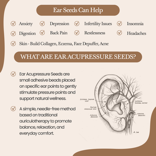 24K Gold Ear Seed Acupuncture Kit – 50+ Healing Remedies