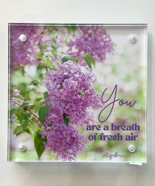 Floral Photos in Acrylic Frame