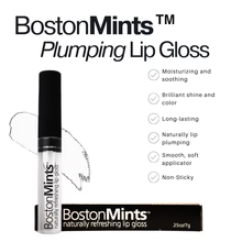 Boston Mints Lip Plumper Southie Pout