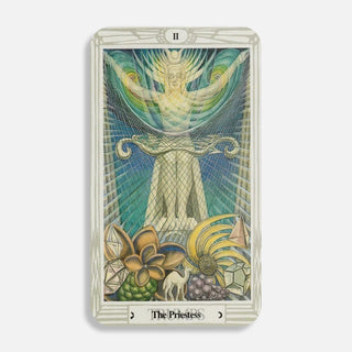 Saturday 10/31: 11-3pm   |  Cards & Clarity: Halloween Tarot Readings with Tracy Strann