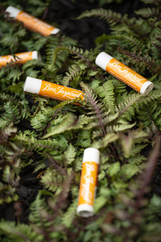 Bee Inspired Plastic-Free Organic Honey Lip Balm | Hydrate + Smooth Lips