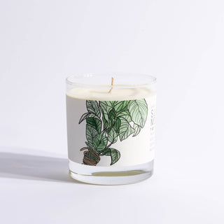Summer Mint - Just Bee Candles: Large Glass (up to 70 hrs of clean burning)