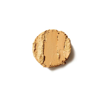 Spot Stick Concealer: No. 04: The Neutralizer!