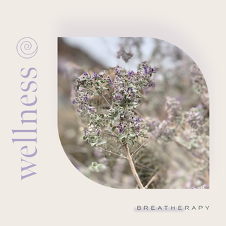 WELLNESS Immunity Boost Aromatherapy Inhaler Patches (8pack)