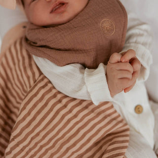 Bliss Muslin Bandana Bibs Set