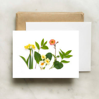Primrose And Greens
