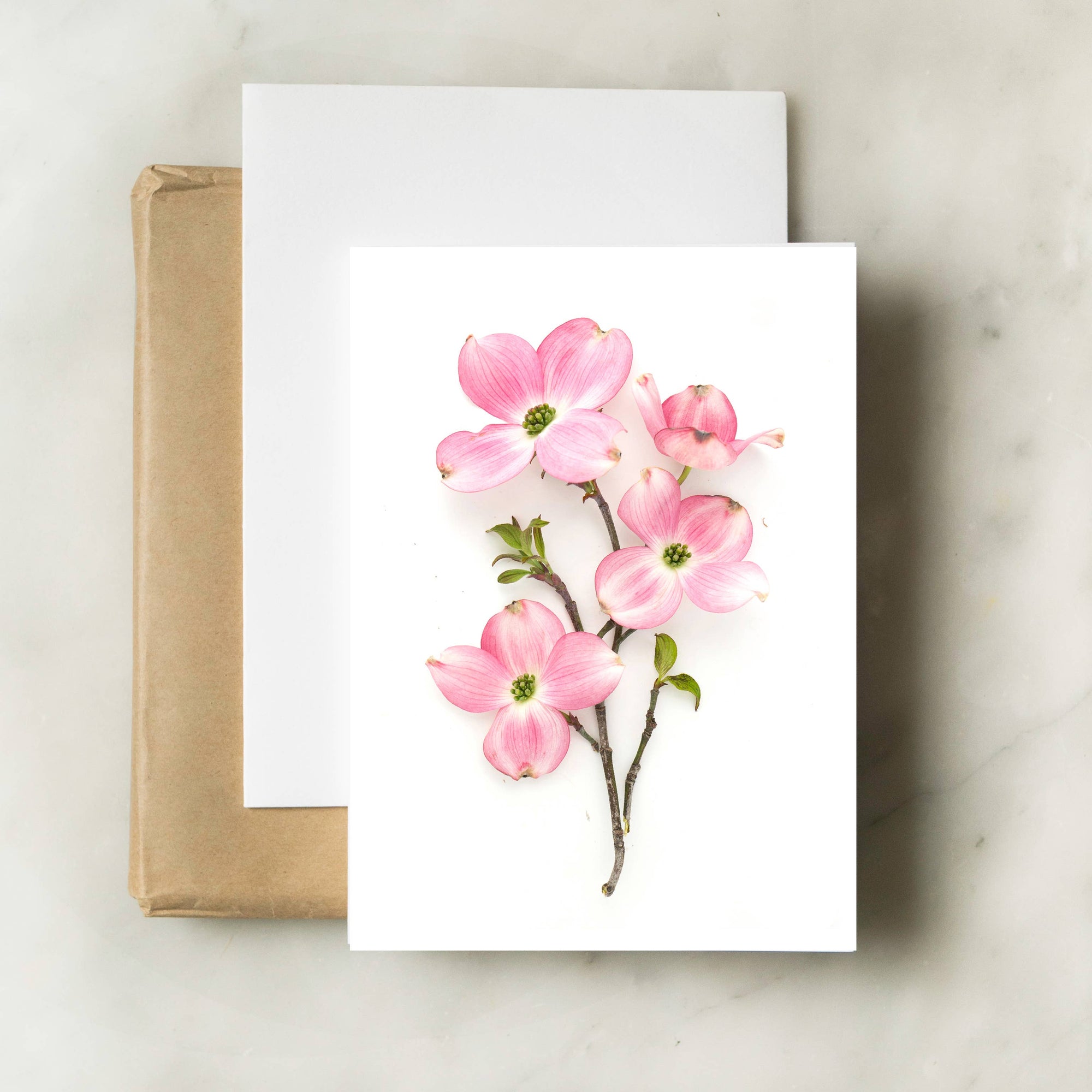Botanical card - Pink Dogwood