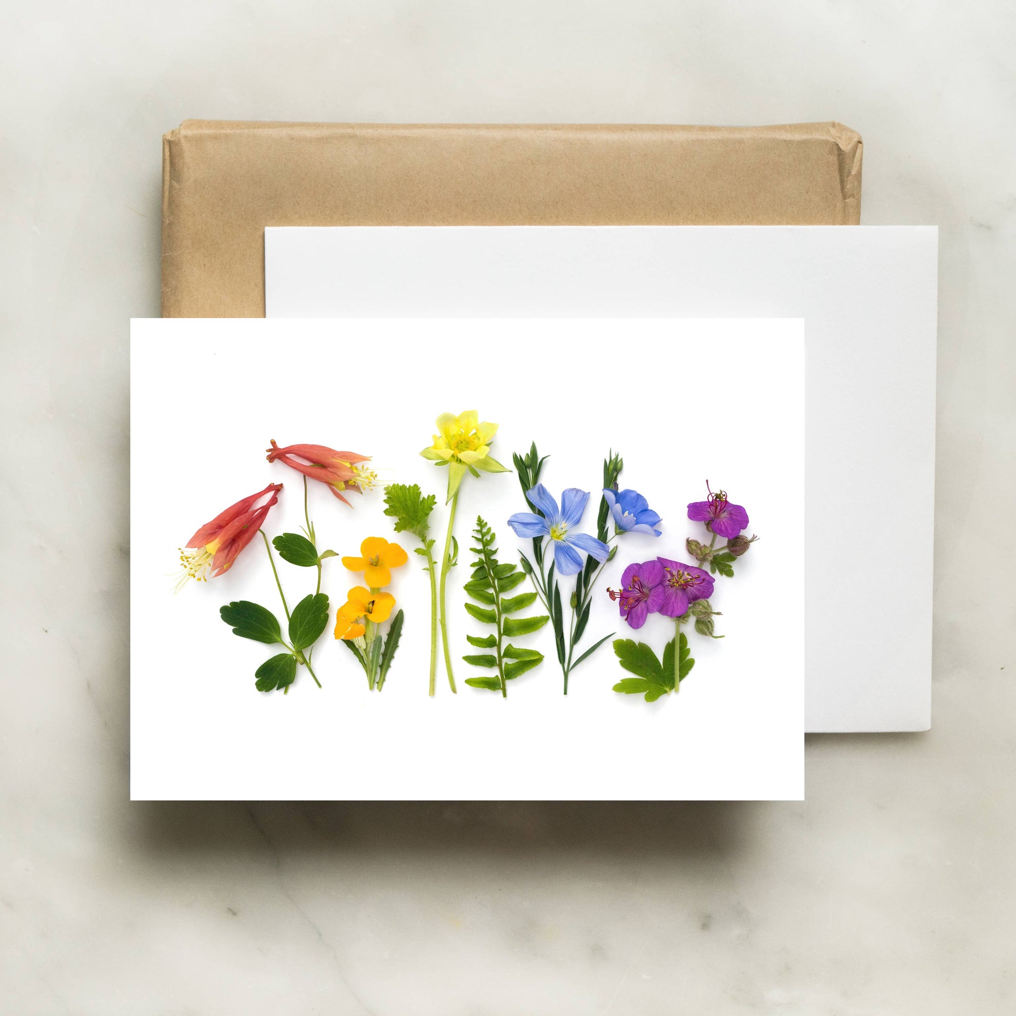 Botanical card - Floral rainbow